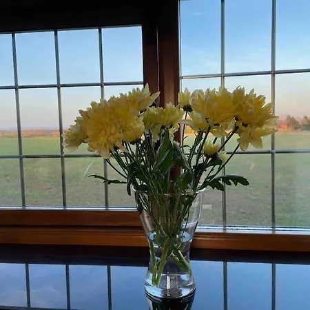 Holiday home The Old Telephone Exchange - Surrounded By Fields! *